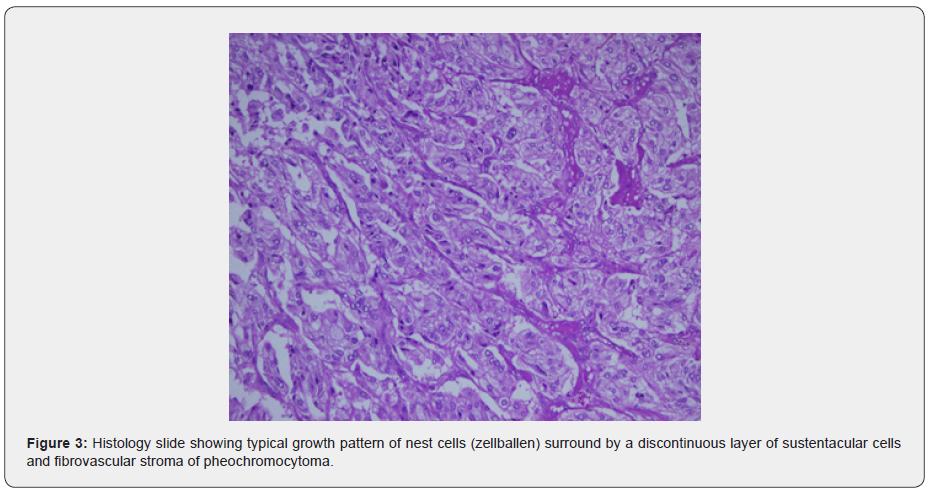 Click here to view Large Figure Material Science