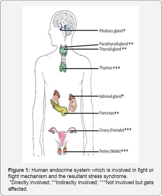 Click here to view Large Table 1