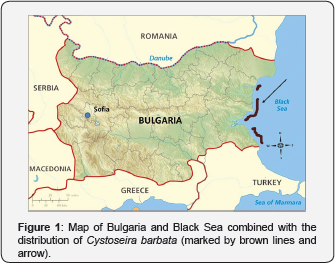 Click here to view Large Figure 1