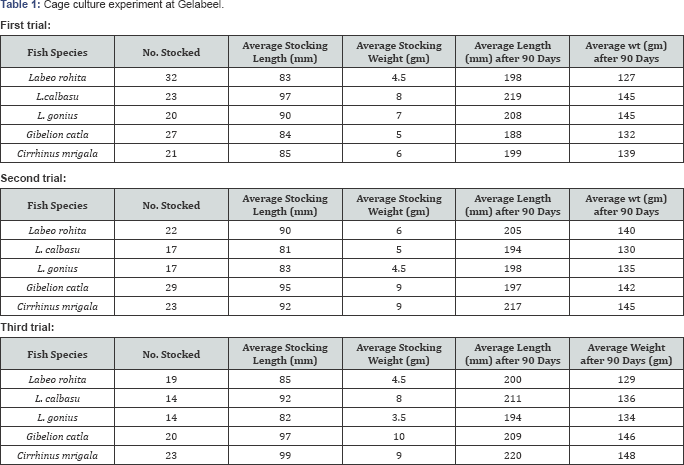 Click here to view Large Table 1