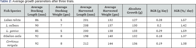 Click here to view Large Table 2