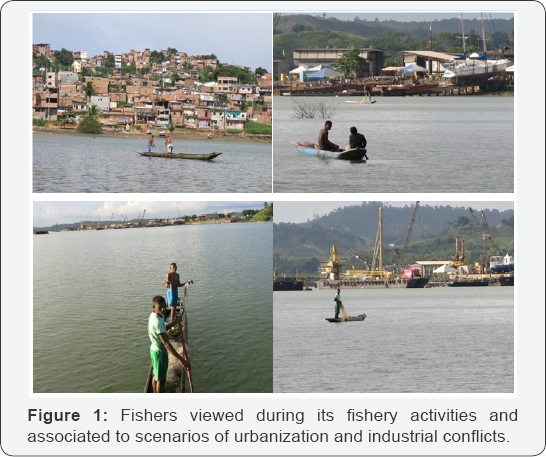 Click here to view Large Figure 1