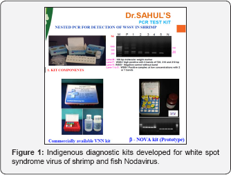 Click here to view Large Figure 1