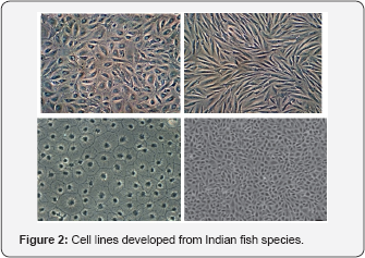 Click here to view Large Figure 2