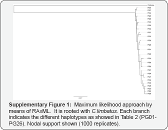 Click here to view Large Figure 1a