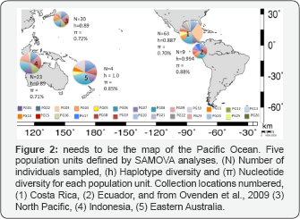 Click here to view Large Figure 2