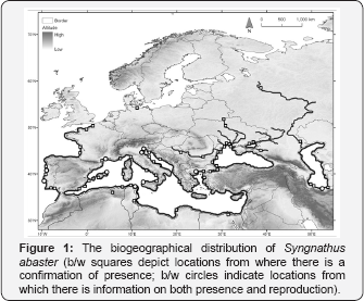 Click here to view Large Figure 1