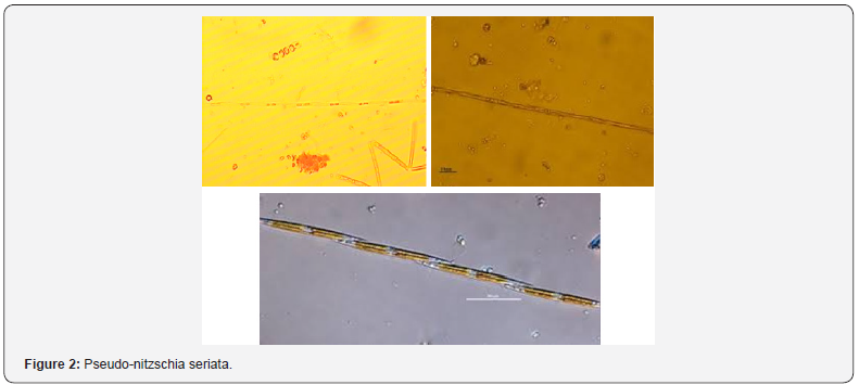 Click here to view Large Figure 2