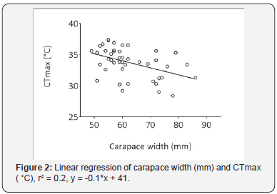 Click here to view Large image 2