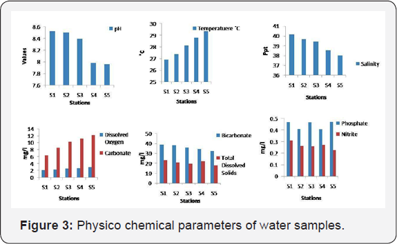 Click here to view Large Figure 3