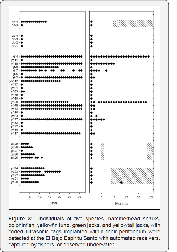 Click here to view Large Figure 3