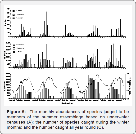 Click here to view Large Figure 5