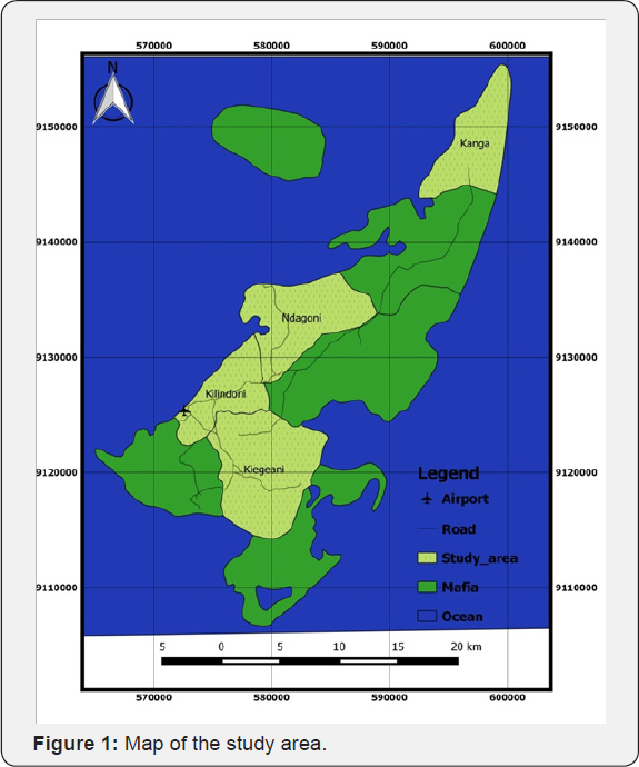 Click here to view Large Figure 1