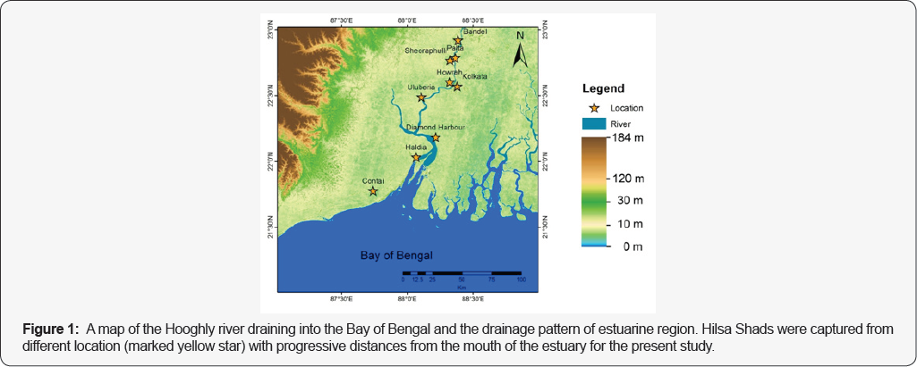 Click here to view Large Figure 1