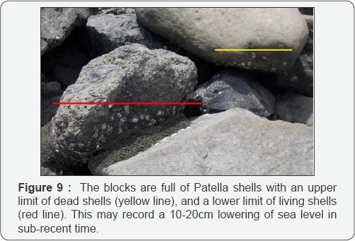 Click here to view Large Figure 9