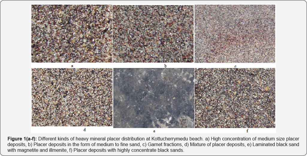 Click here to view Large Figure 1