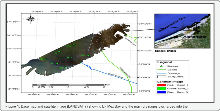 Click here to view Large Figure 1