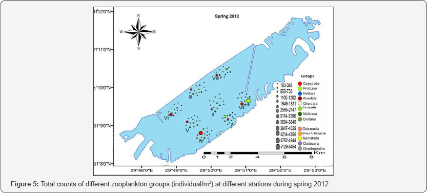 Click here to view Large Figure 5