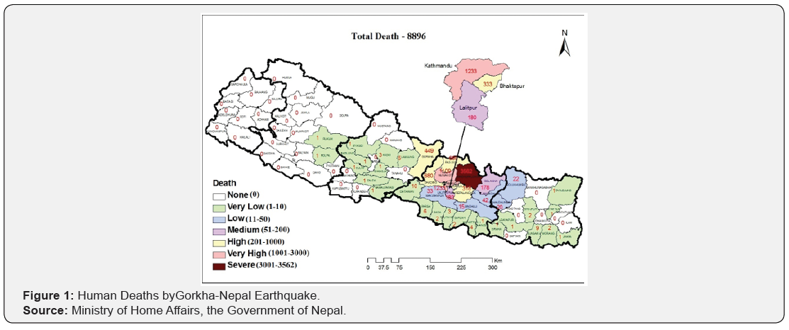 Click here to view Large Figure 1