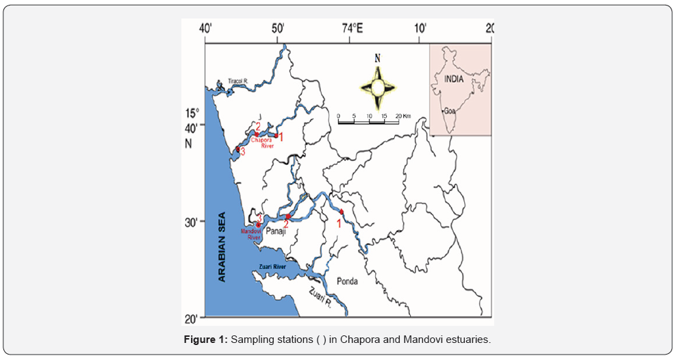 Click here to view Large Figure 1