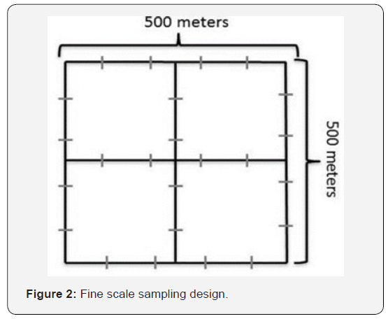 Click here to view Large Figure 2