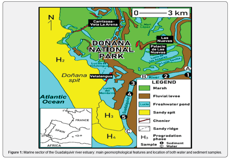 Click here to view Large Figure 1