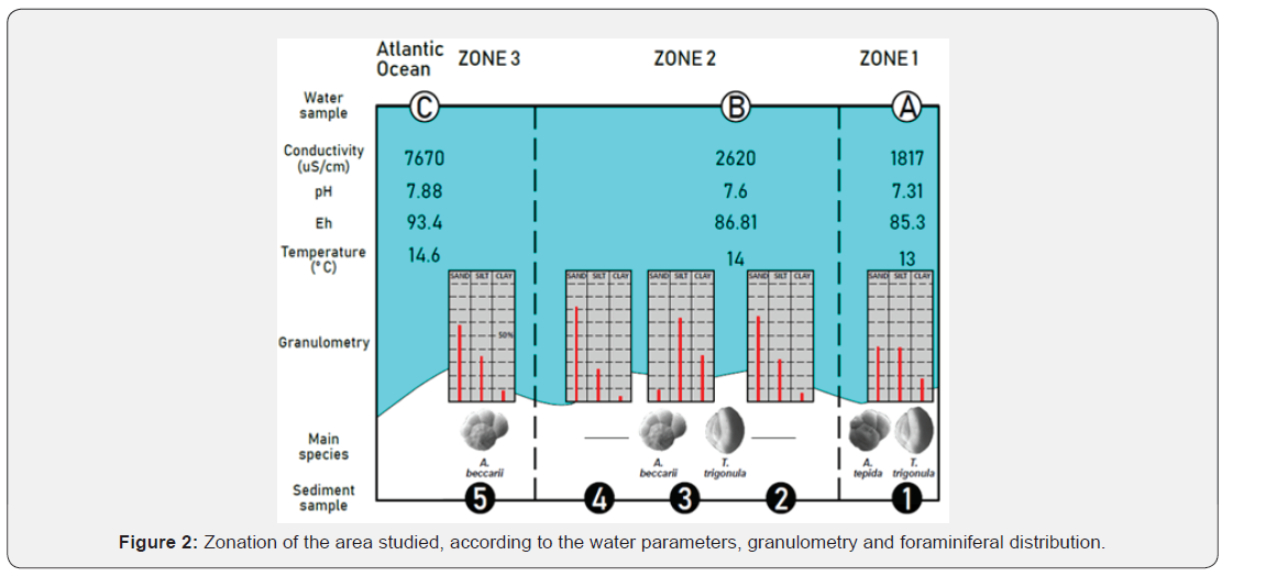 Click here to view Large Figure 2