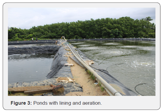 Click here to view Large Figure 3