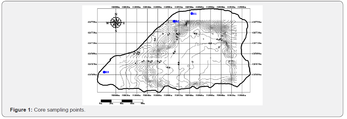 Click here to view Large Figure 1