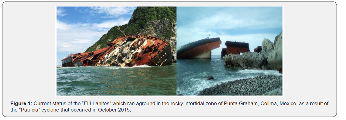 Click here to view Large Figure 1