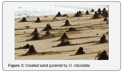 Click here to view Large Figure 3 Oceanography & Fisheries Open access Journal