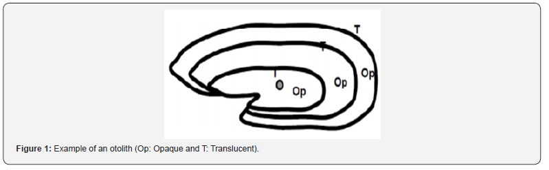 Click here to view Large Figure 1