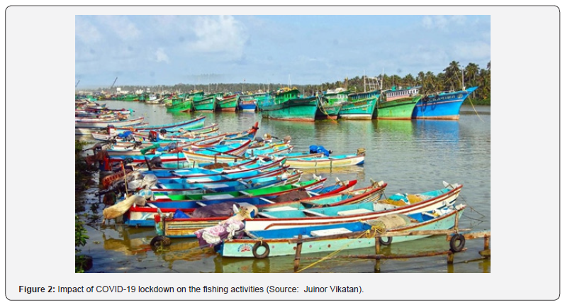 Click here to view Large Figure 2