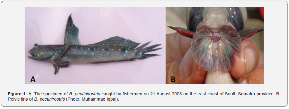 Click here to view Large Figure 1 Material Science