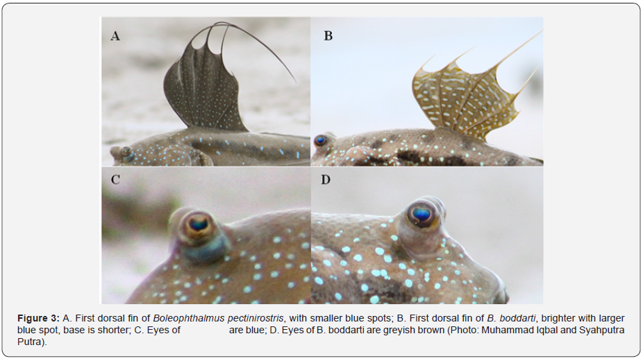 Click here to view Large Figure 3 Material Science
