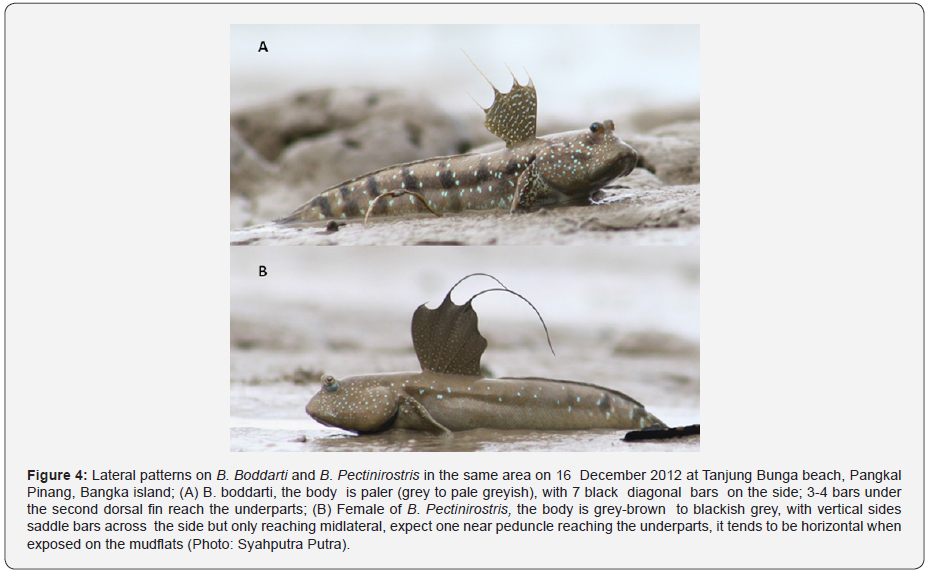 Click here to view Large Figure 4 Material Science