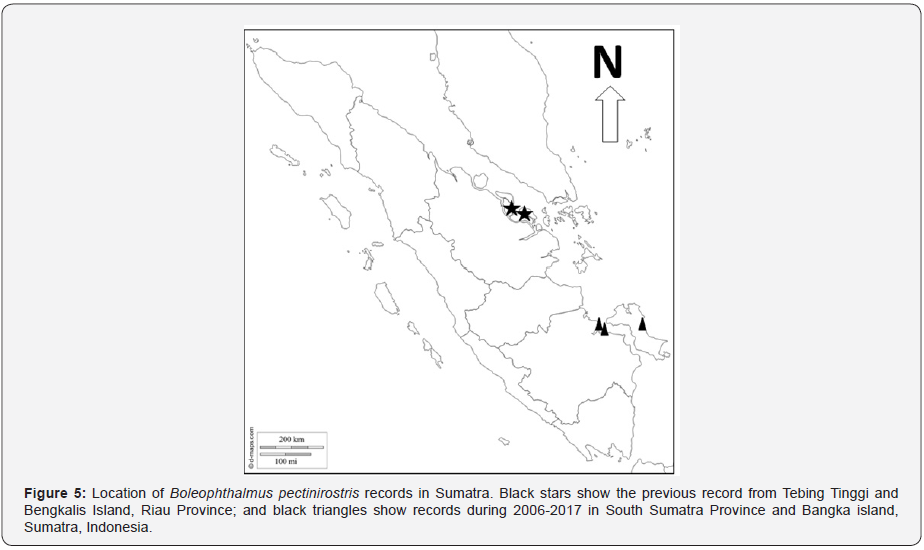 Click here to view Large Figure 5 Material Science