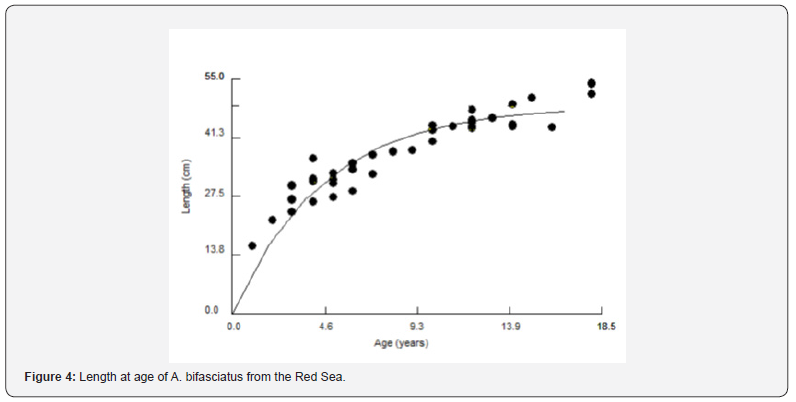 Click here to view Large Figure 4