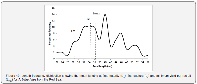 Click here to view Large Figure 10