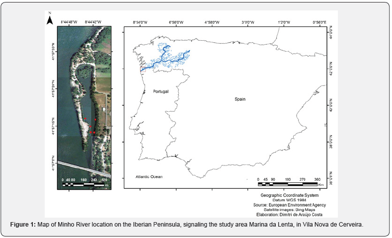 Click here to view Large Figure 1