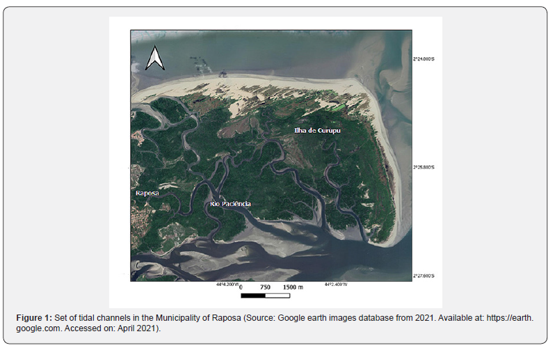 Click here to view Large Figure