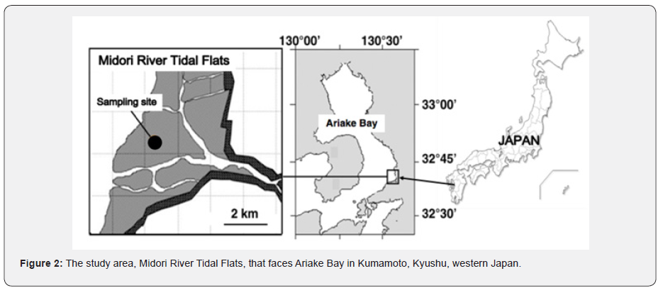 Click here to view Large Figure
