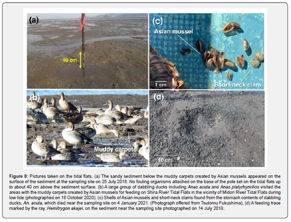 Click here to view Large Figure