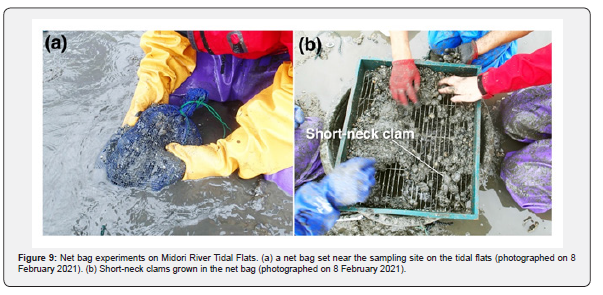 Click here to view Large Figure