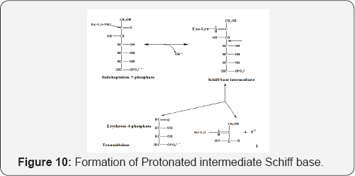 Click here to view Large Figure10