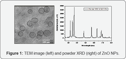 Click here to view Large Figure 1