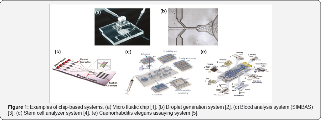 Click here to view Large Figure 1