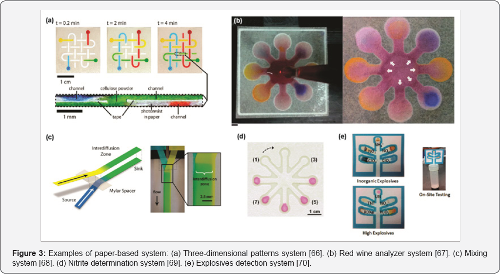Click here to view Large Figure 1