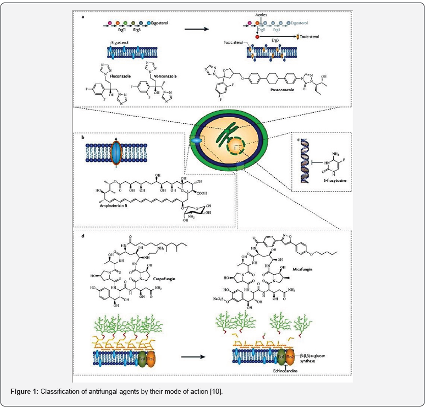 Click here to view Large Figure 1