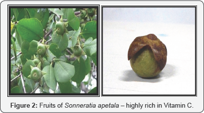 Click here to view Large Figure 2